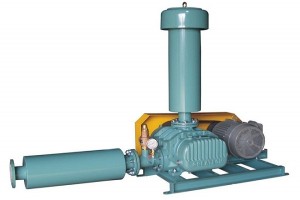 Máy thổi khí chuyên nghiệp