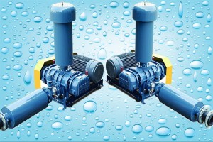 Máy thổi khí hồ cá